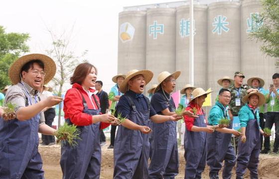 中粮米业：水稻加工能力达到400万吨