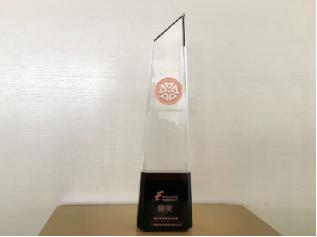 三棵树5.17健康漆节荣获第五届梅花网最佳电商营销创新奖